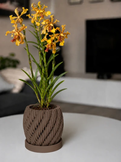 Aeris en Marron Oscuro