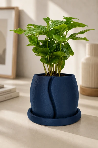 Cofesia en Azul Oscuro