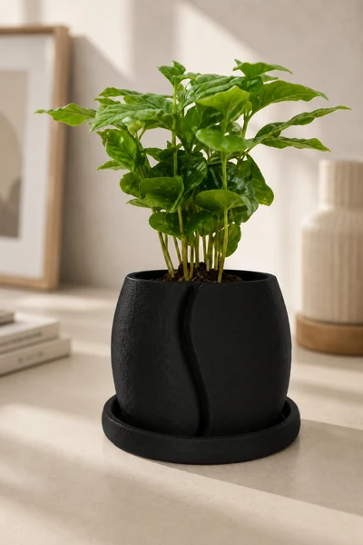 Cofesia en Negro Carbon